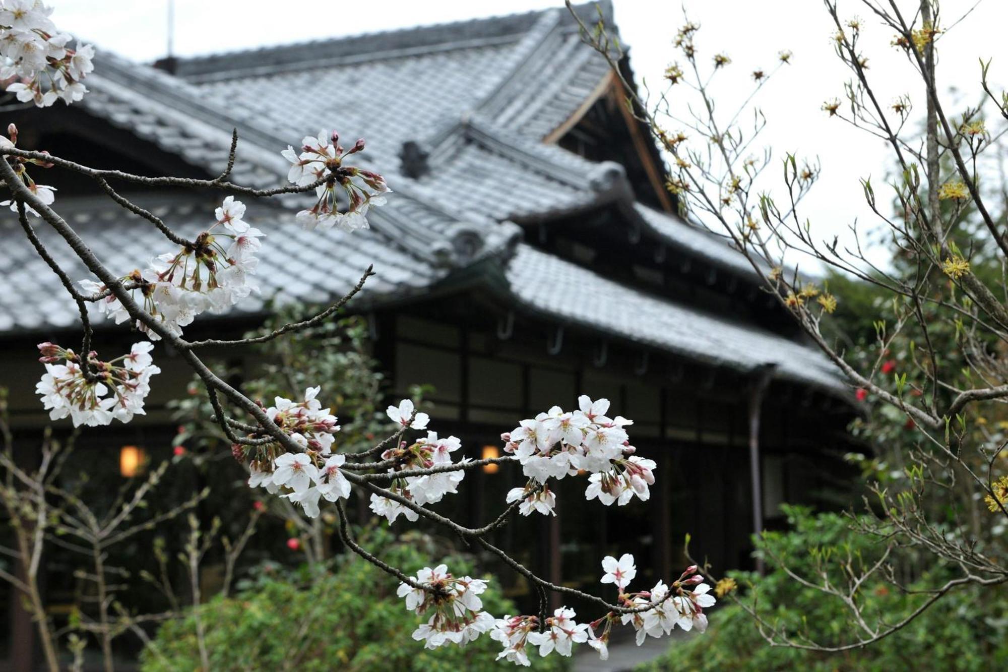Shisui, A Luxury Collection Hotel, Nara Buitenkant foto